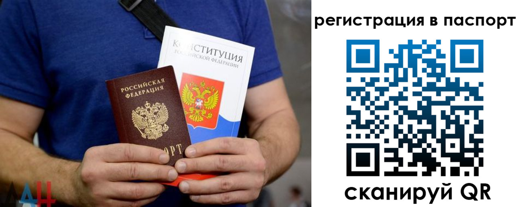 прописка гарантия в Заволжье